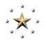 Brotherhood of Starbridge
